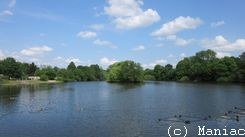 Appelhoffweiher