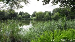 Kupferteich