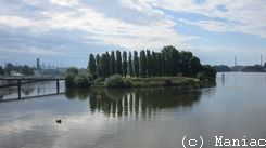 Entenwerder