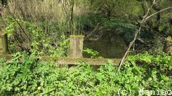 NSG Heuckenlock