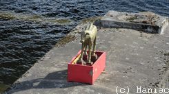 Einzelbilder