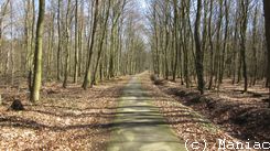 Bahn-Rad-Wege