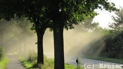 Einzelbilder
