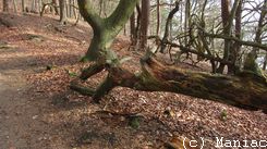Hohes Elbufer