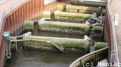Geesthacht Fischtreppe
